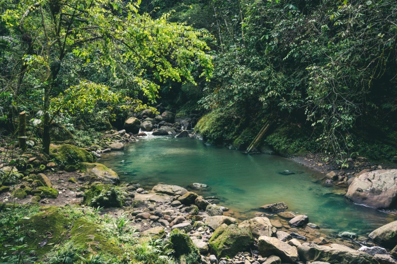 a river surrounded by trees is full of water