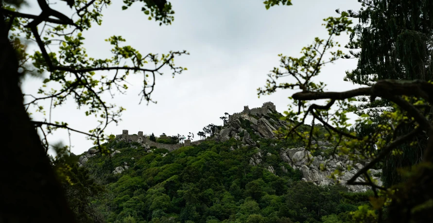 a view of a rocky mountain with trees in foreground