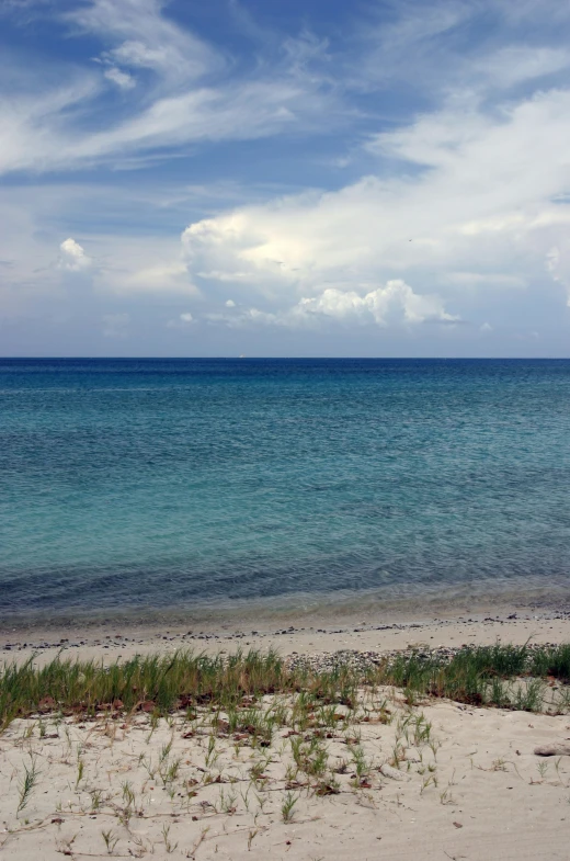 the sand is covered by grass and is next to the blue water