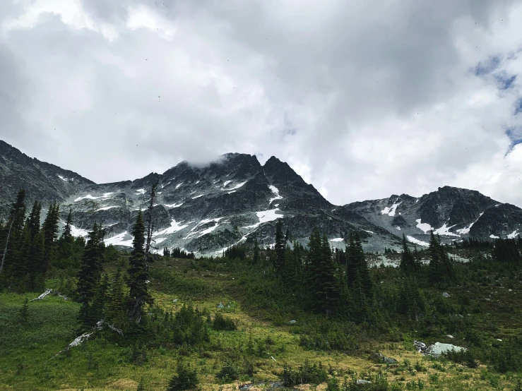 a mountain covered in snow and pine trees