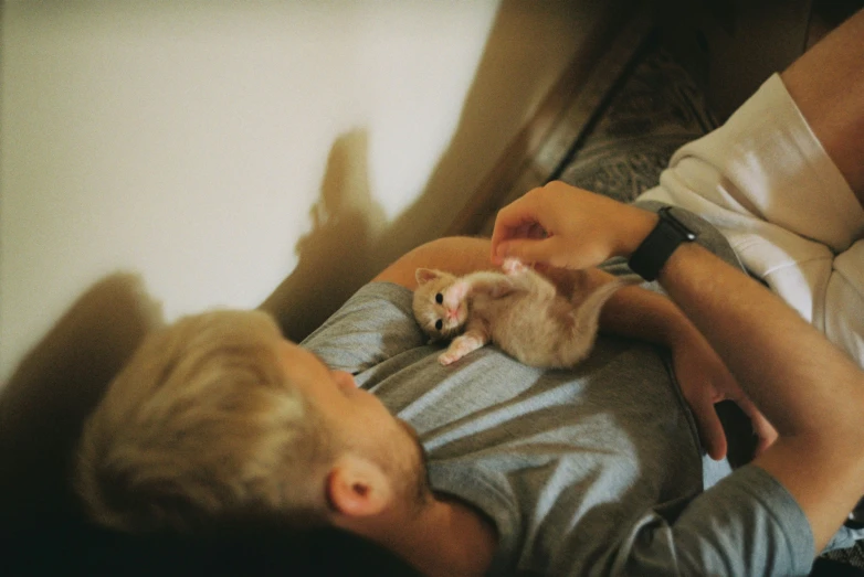 a man holds a newborn kitten on his shoulder