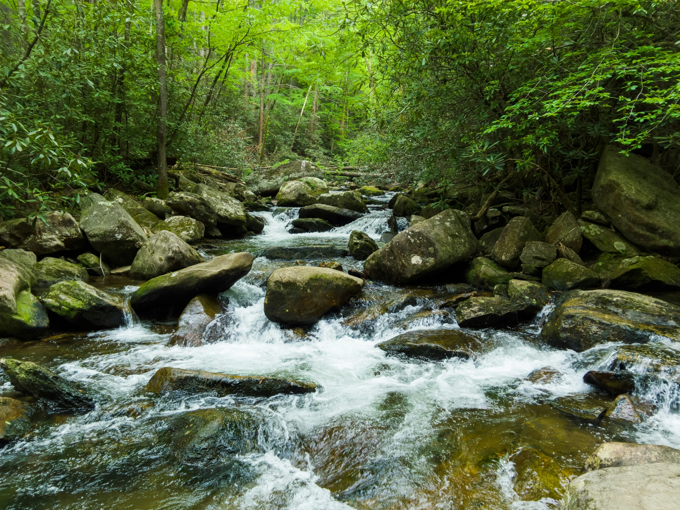 a mountain stream with rocks and flowing water