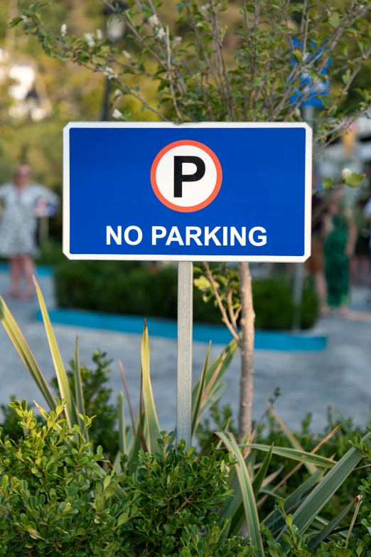 a parking sign for a parking lot with no parking on it