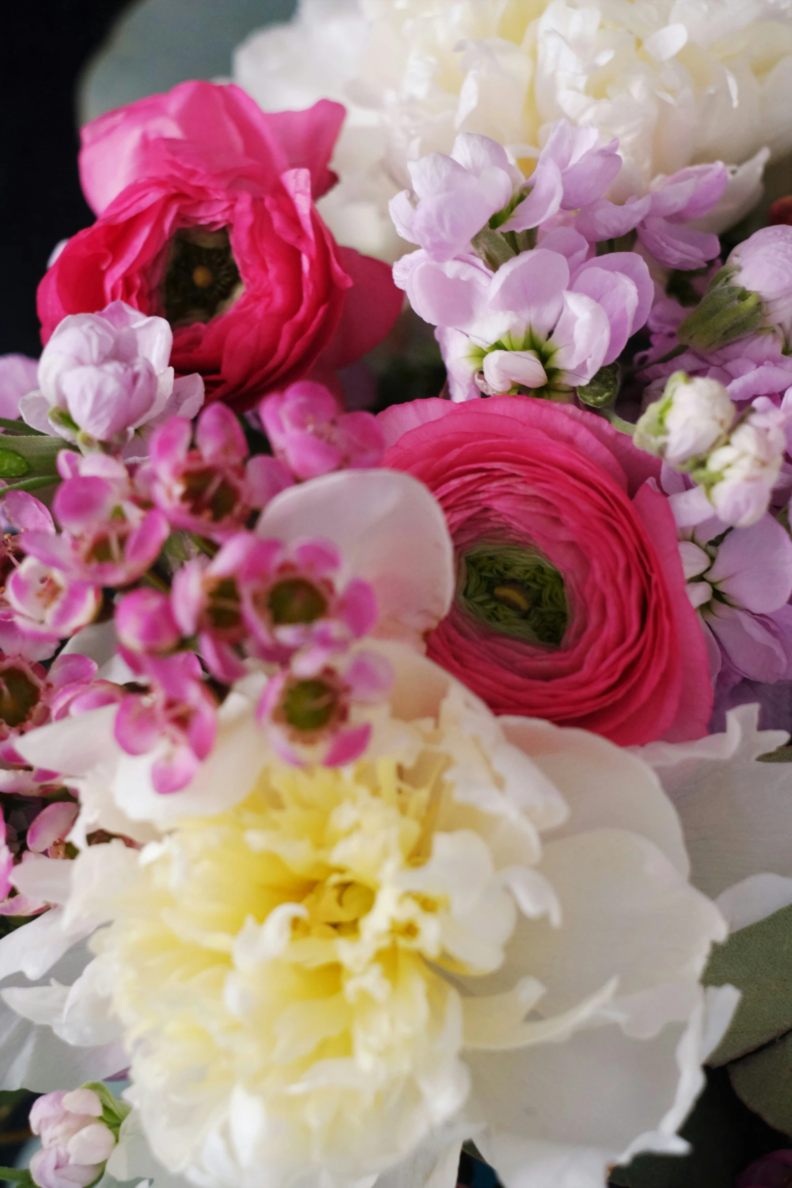 colorful flowers are laying down together