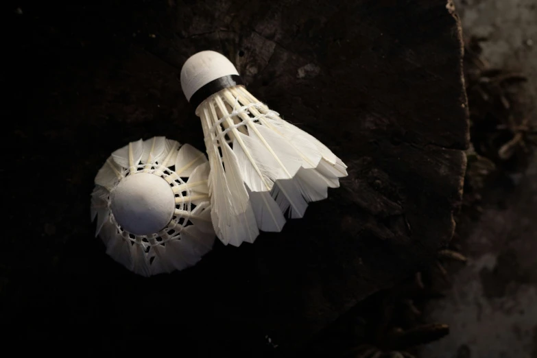 a white toilet brush sitting next to a white glove