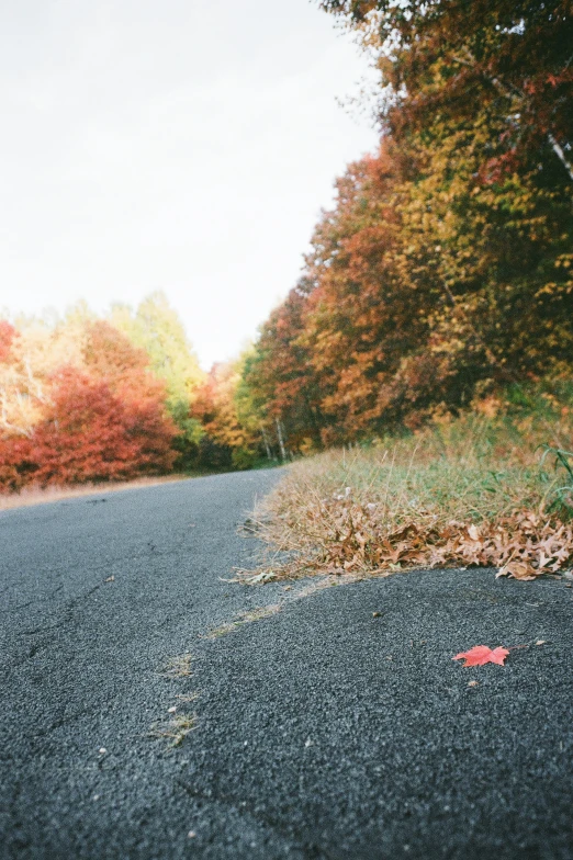 a red stop sign laying in the middle of a road