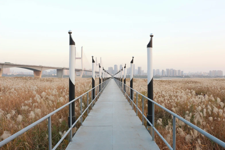 a path that leads into a large field