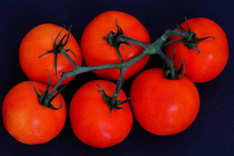 several tomatoes gathered together on the vine