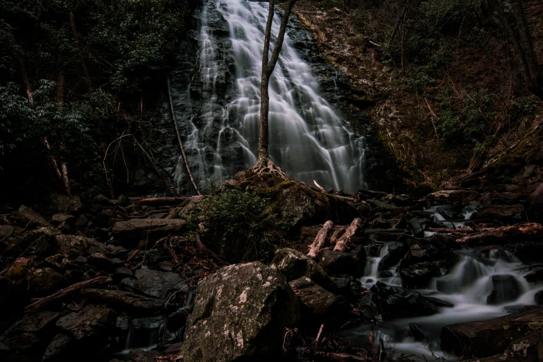 a waterfall with trees, rocks and shrubs