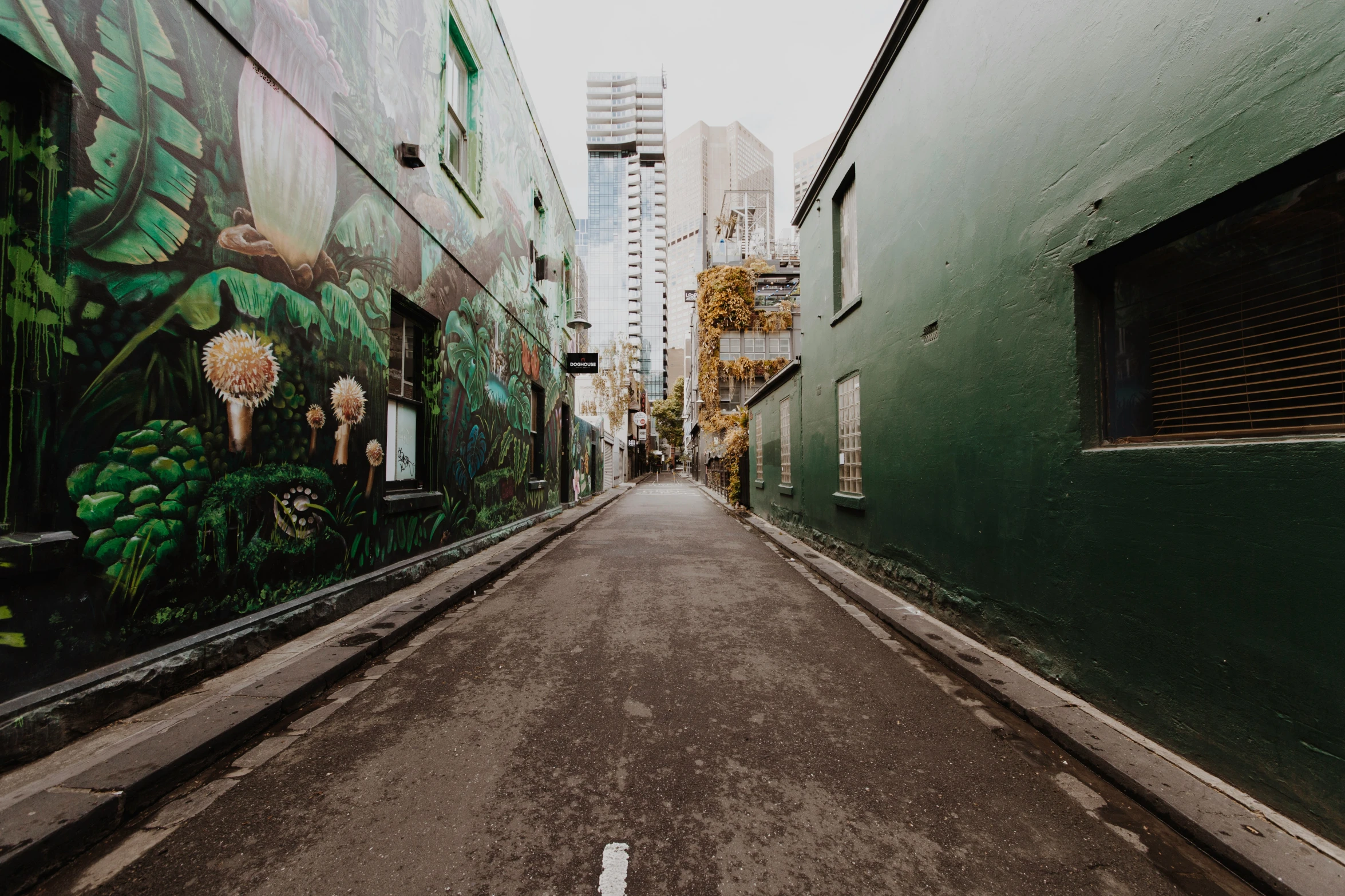 an empty alley that has some large paintings on the walls