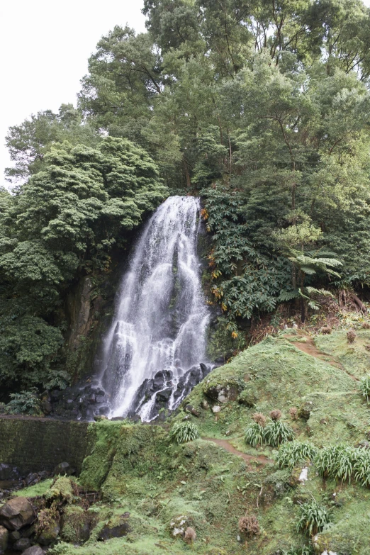 a man and woman are standing in front of a waterfall