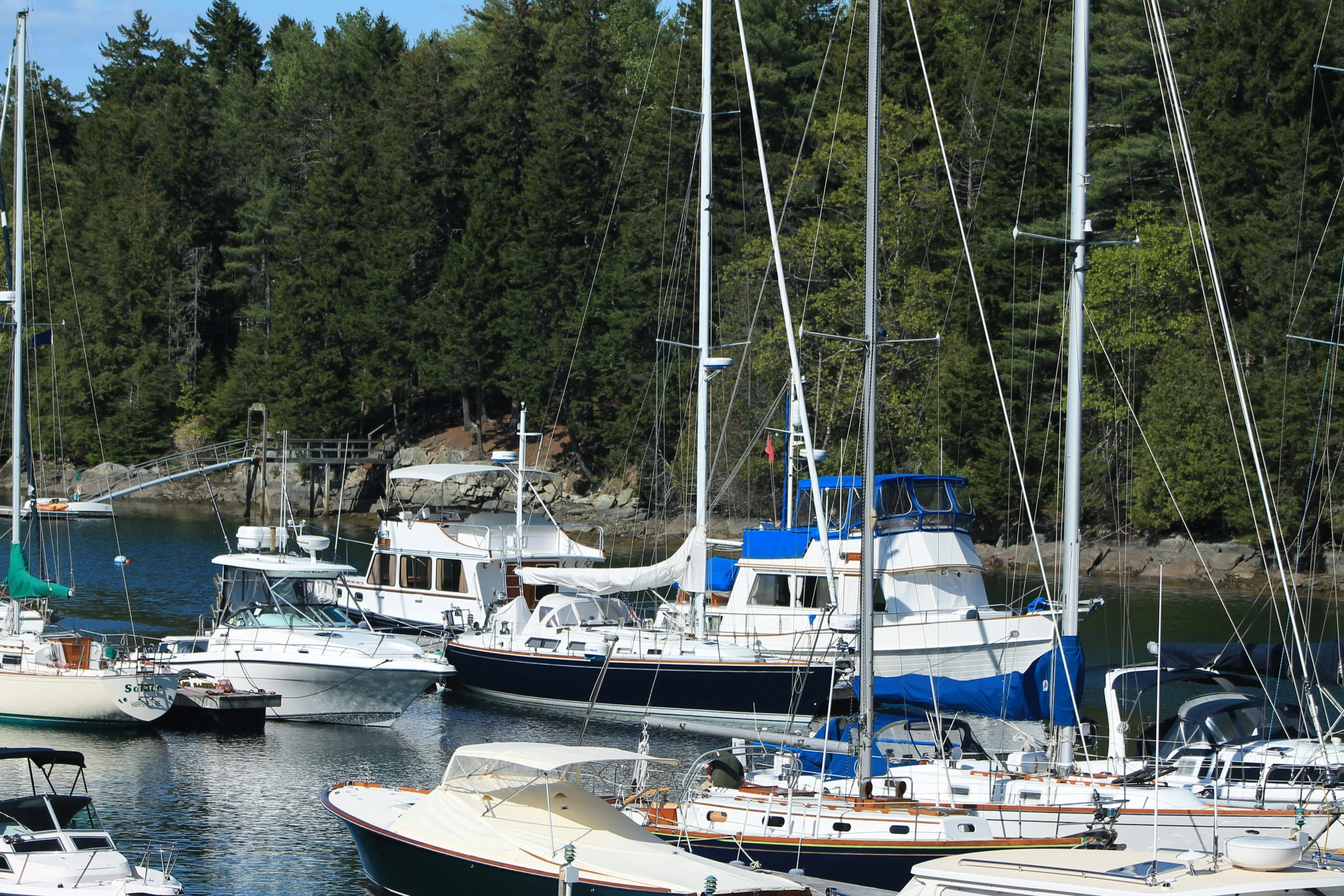 a large number of boats are docked by the shore