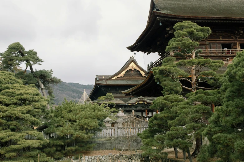 the tall building is surrounded by pine trees