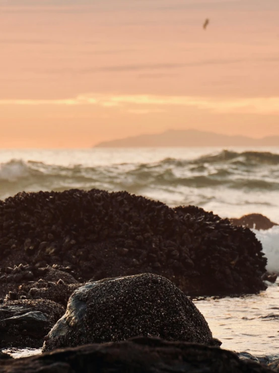 a man with a surf board is standing near the ocean