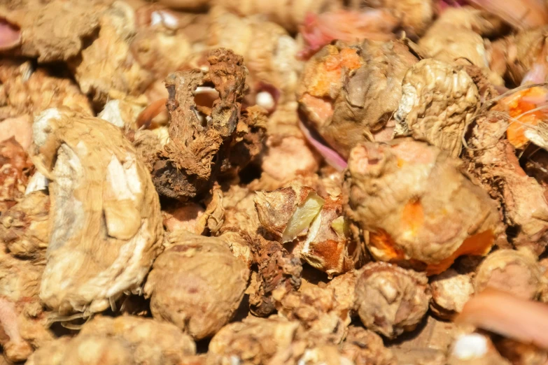 a pile of various kinds of mushroom on top of each other