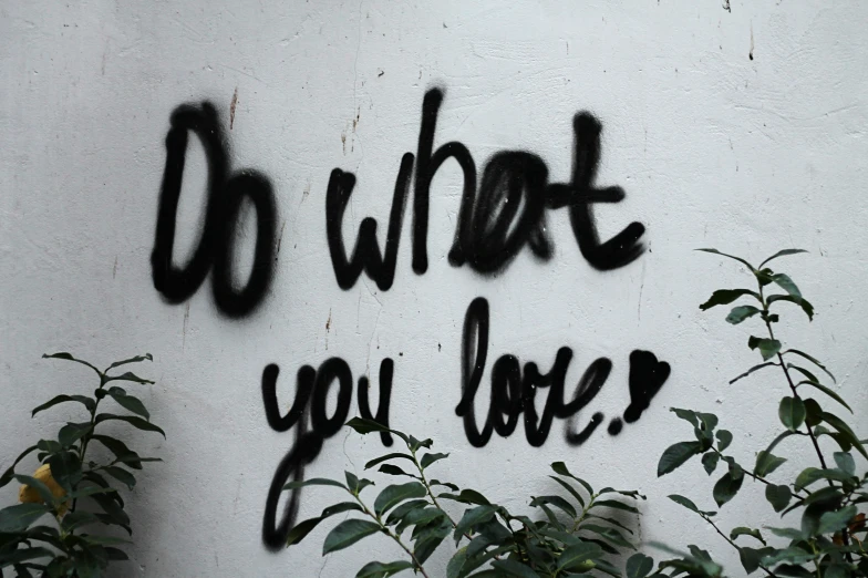 graffiti on the wall reads, do what you love?