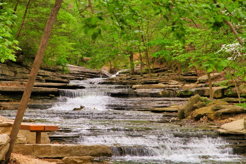 a waterfall with some trees around it