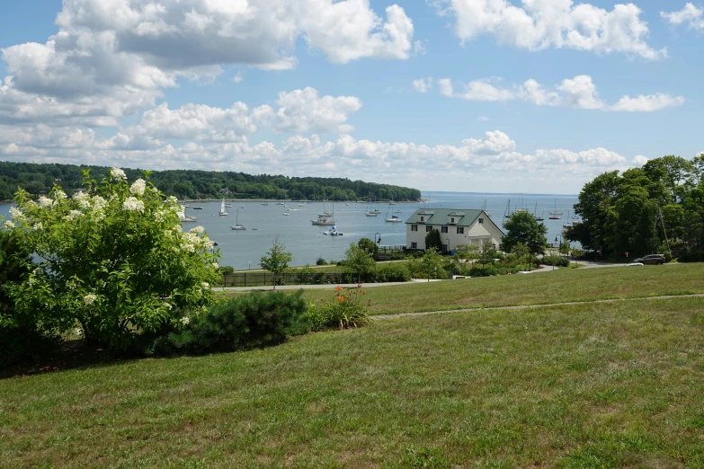 a grassy field with some boats in the water