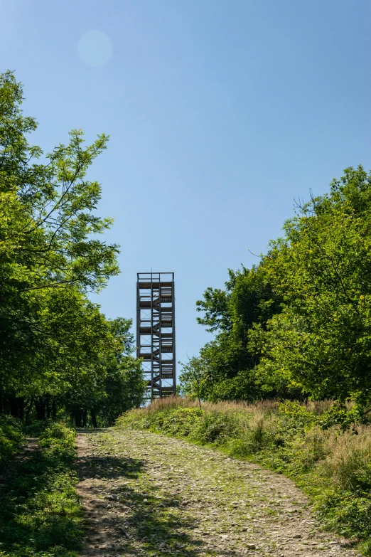 a sign sticking out from the top of a hill