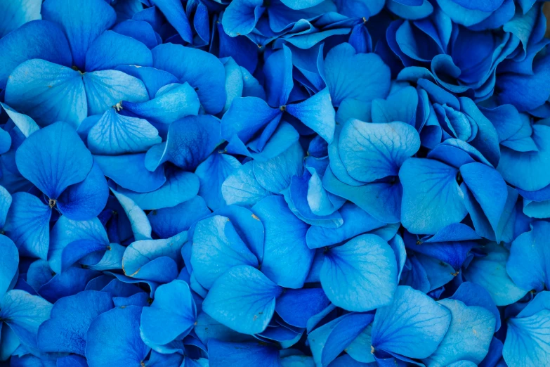 blue flowers are a beautiful combination with turquoise hues