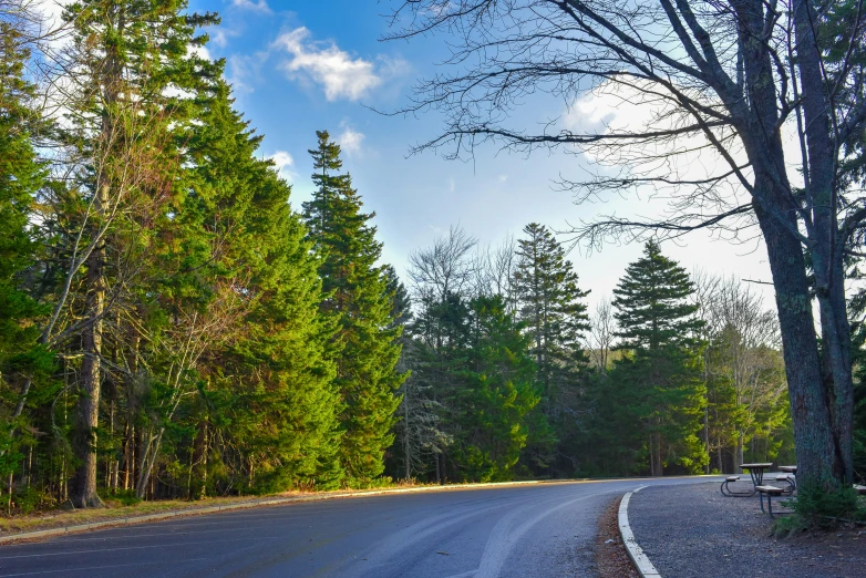 an empty road with a bench and tree lined side walk