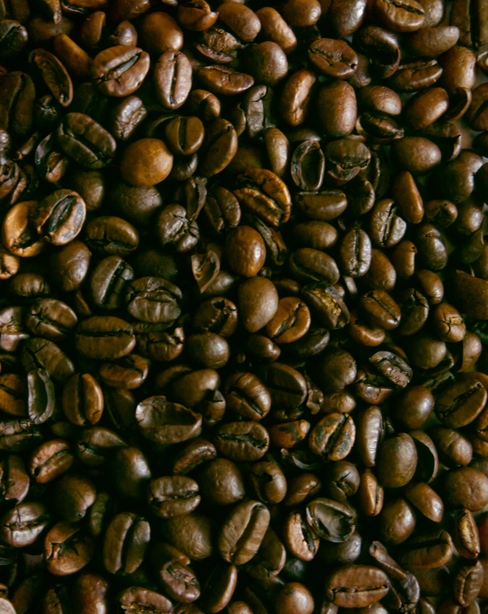 a large group of coffee beans piled high up