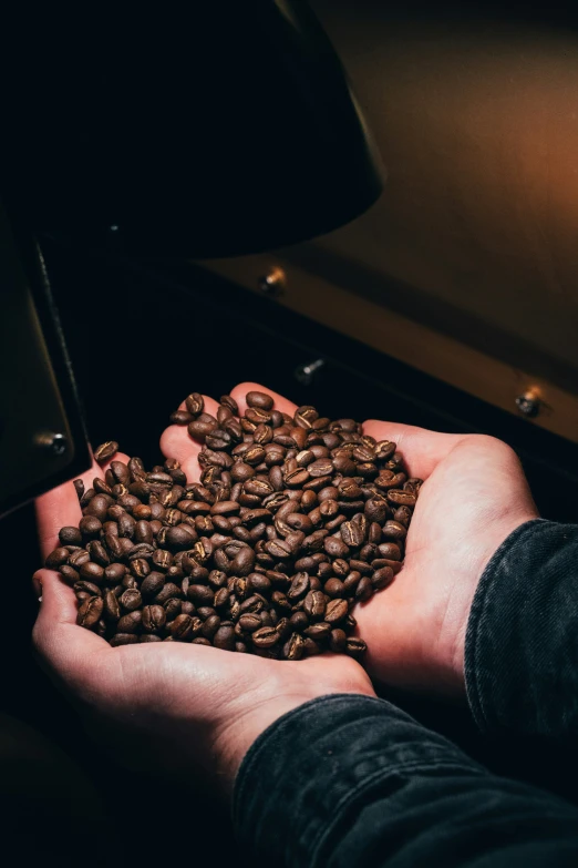 there is a person holding some coffee beans