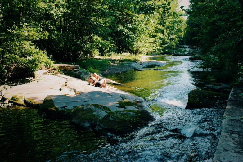 a small creek surrounded by trees and rocks