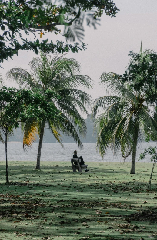 a man and woman are sitting on a bench near trees