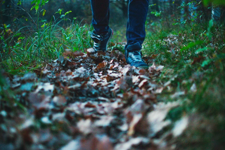 a person standing on leaves in the woods