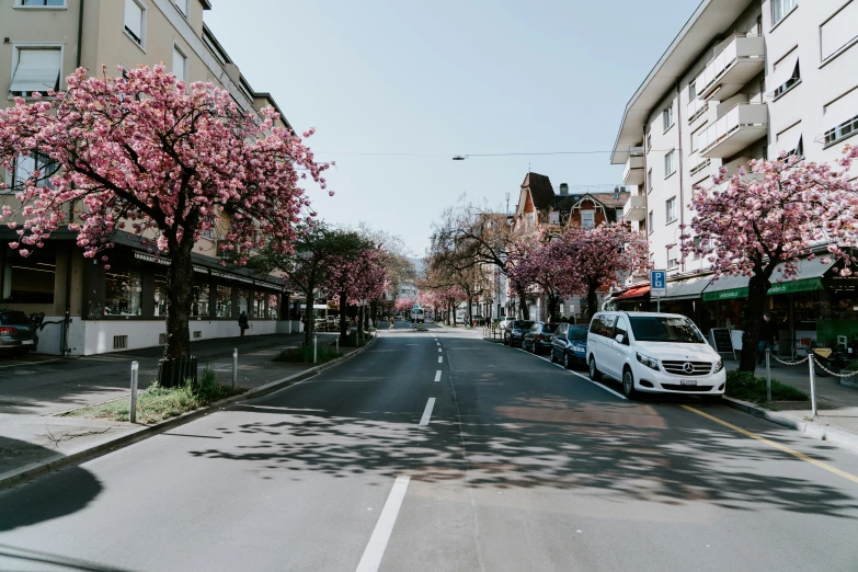 cars parked along a street lined with tree - lined buildings