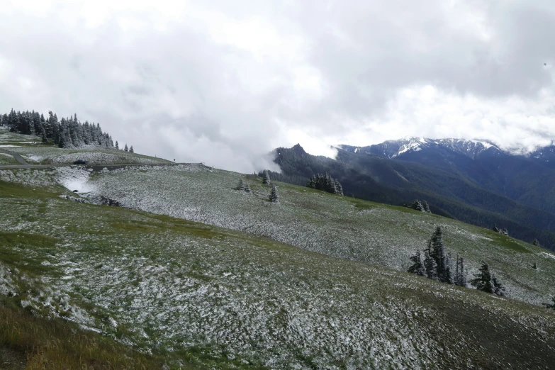 a grassy area with snow - covered mountains in the background