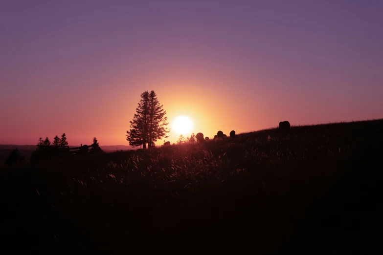 the sun setting over a field with silhouettes of trees