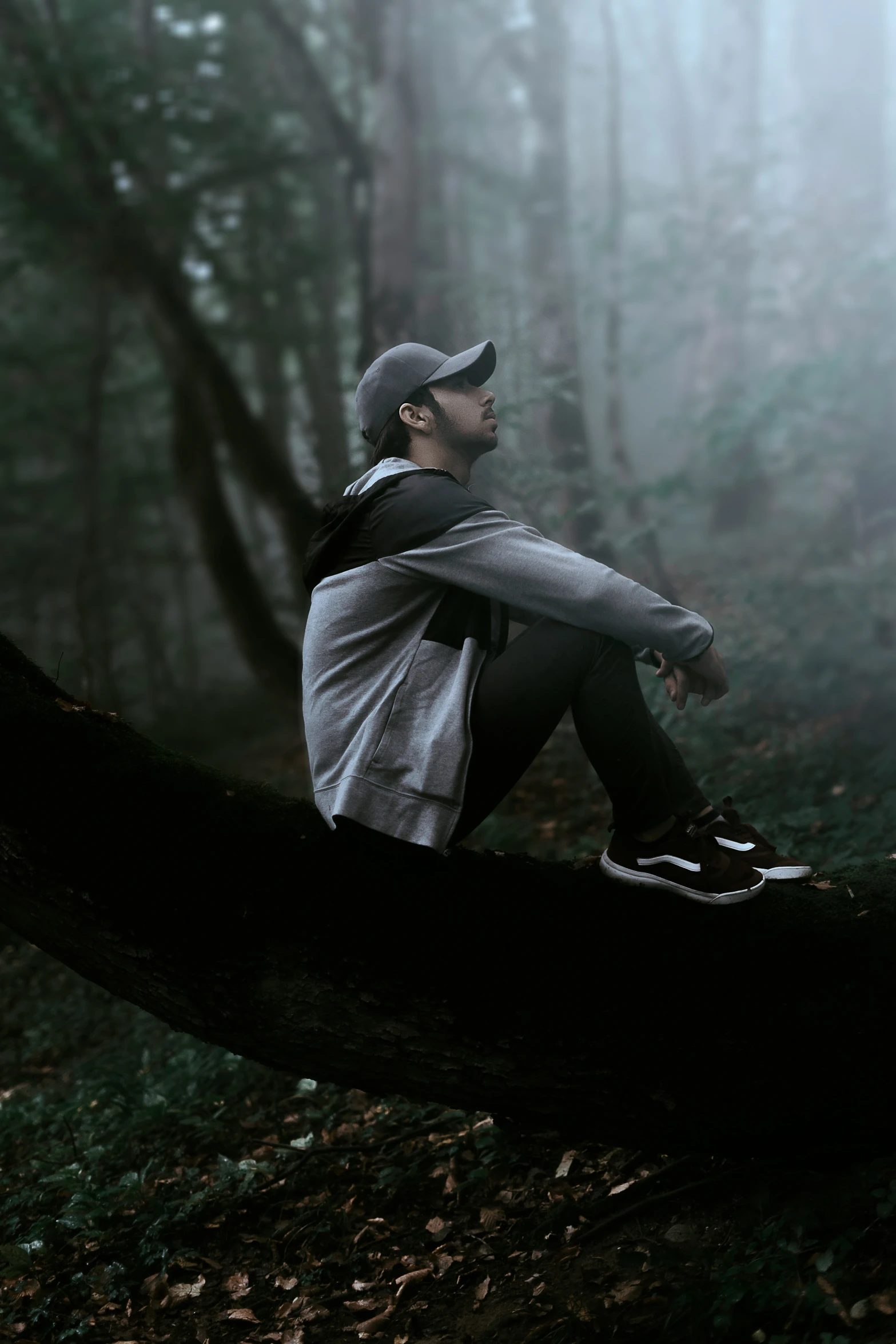 a man sitting on top of a tree nch in the woods