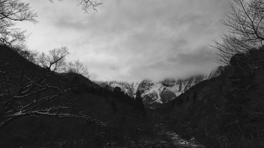 snow covered mountains, trees, and sky in black and white