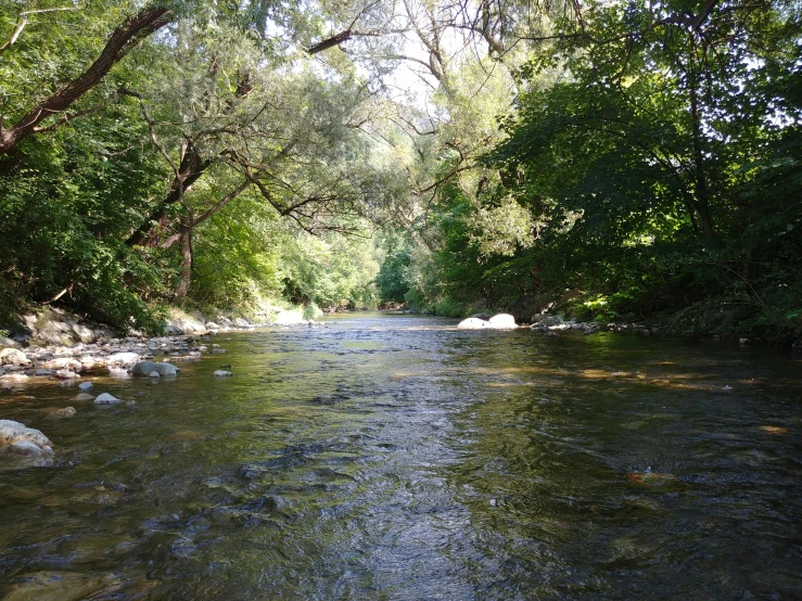 there is a river that has many rocks in it