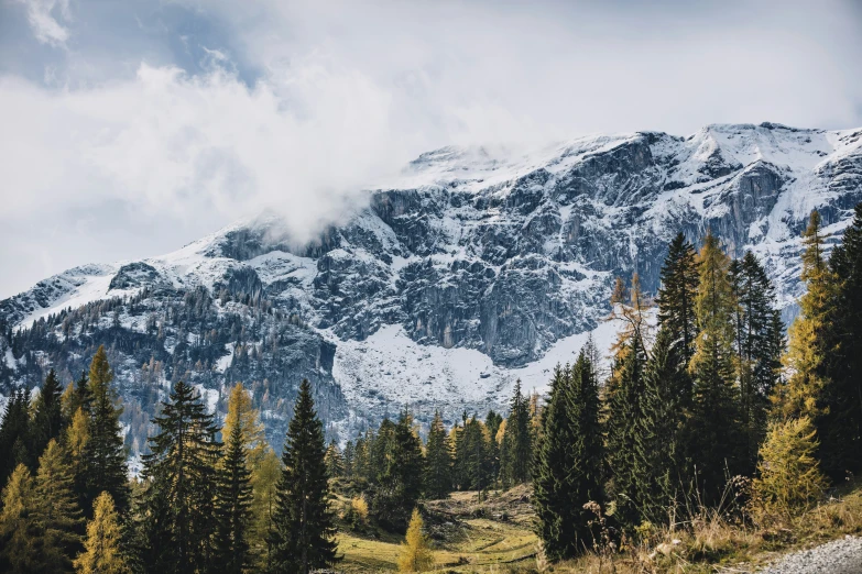 a mountainside scene with trees and a cloudy sky