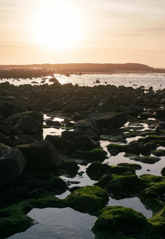 water and rocks are sitting in the water