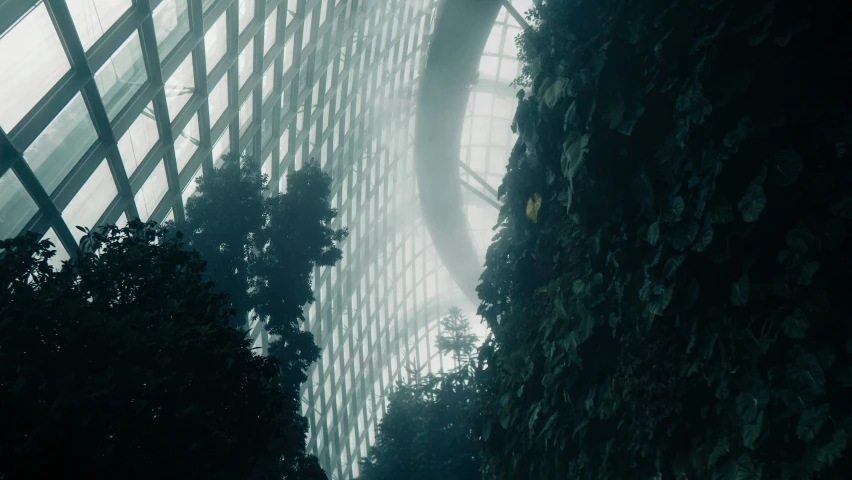 a building with very long windows is shown through a leafy wall
