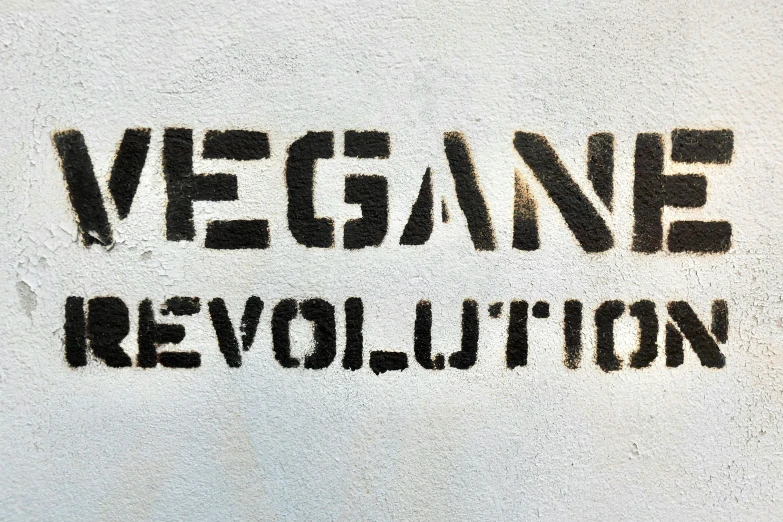 the words vegaane revolution written on the wall