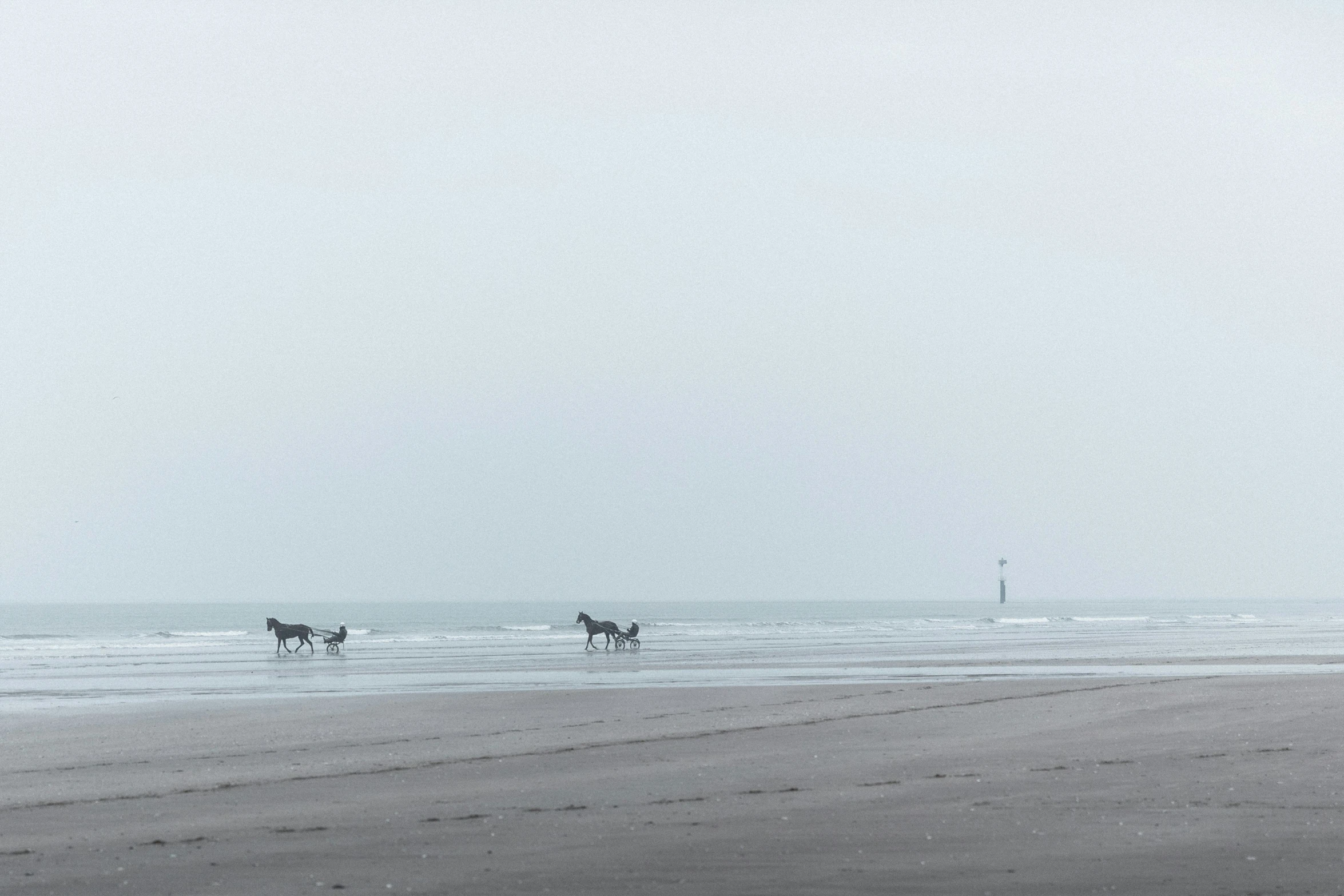 horses are walking along a foggy beach in black and white