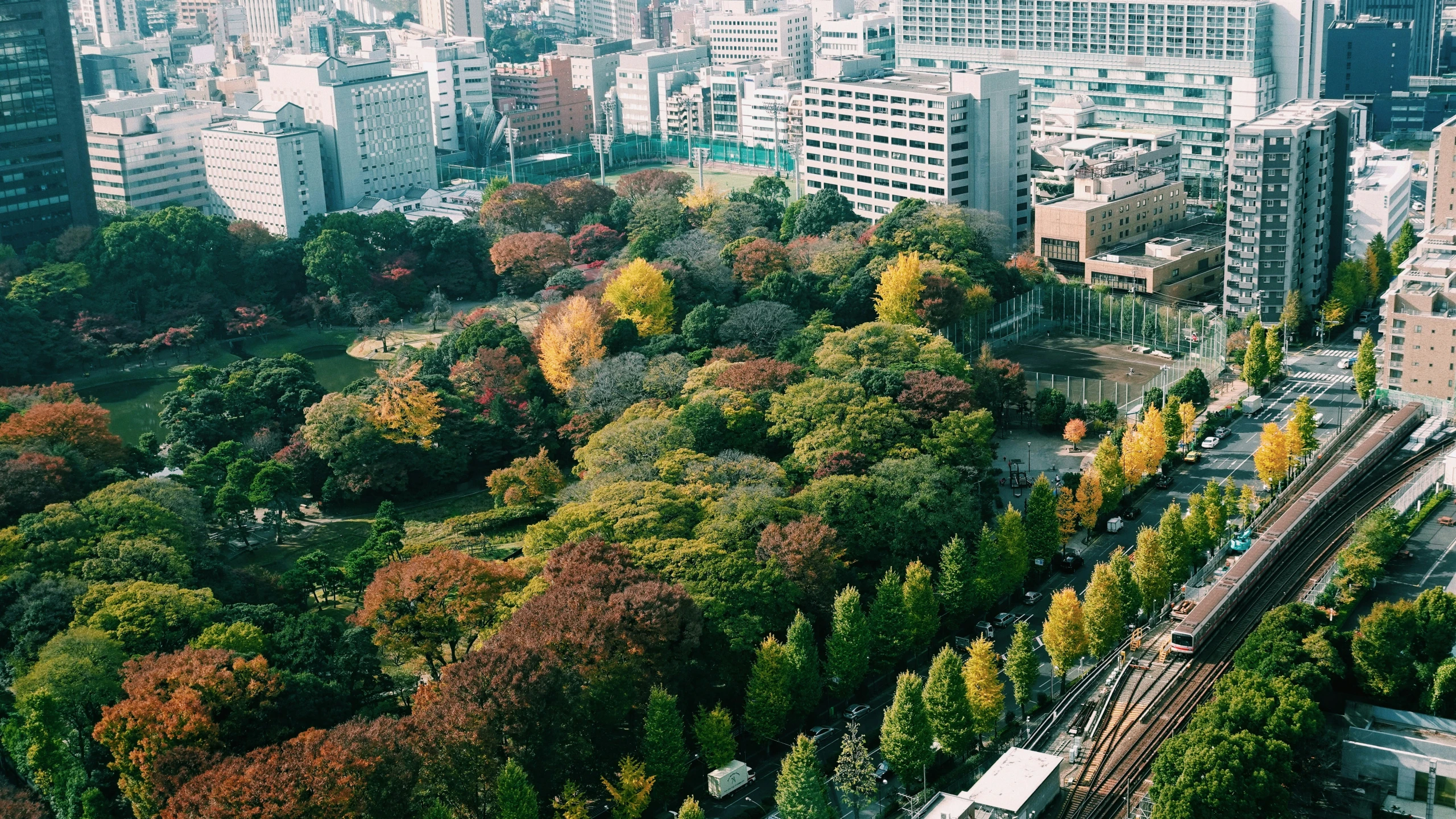 an aerial view shows tall buildings and an orange tree lined area