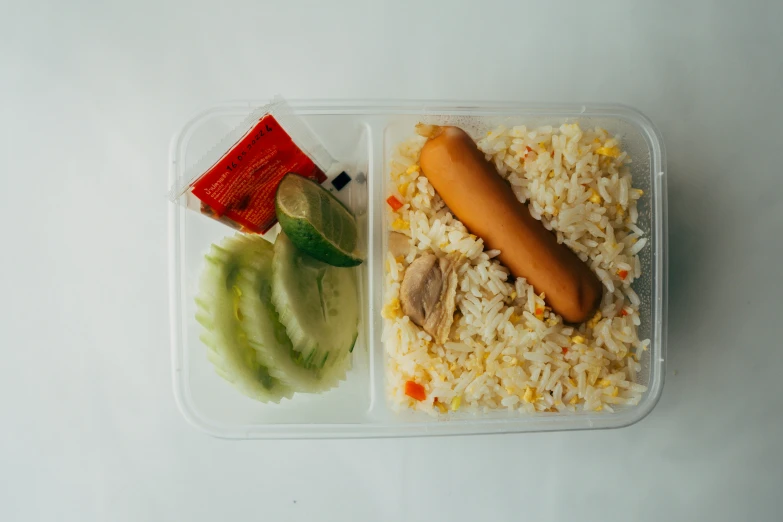 an asian meal in a plastic tray with rice and a  dog
