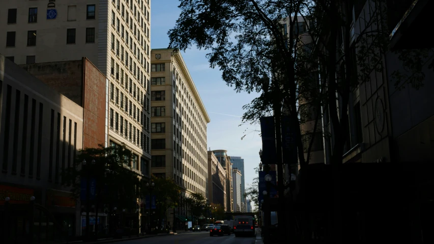 an empty city street with tall buildings and a tree