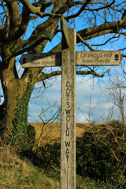 a street sign that is under a tree