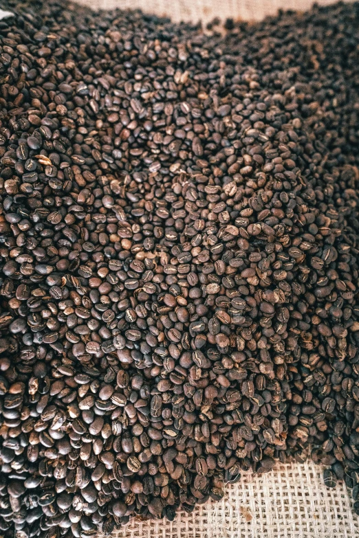 some black seeds are laying on top of the floor