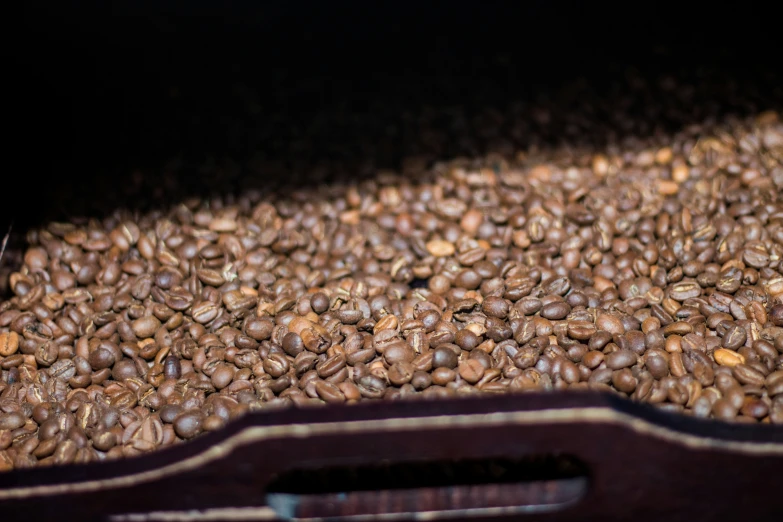 a close up of some coffee beans with a guitar case in the back ground