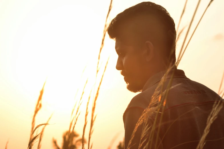 a person standing by the tall grass during sunset