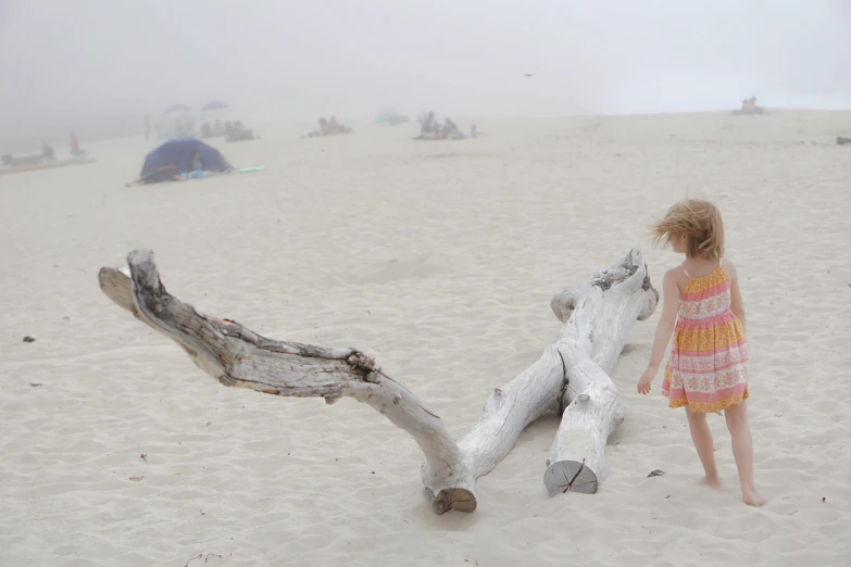 a little girl standing next to a tree on top of a beach