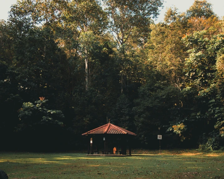 a picture of an outdoor shelter for two in the woods